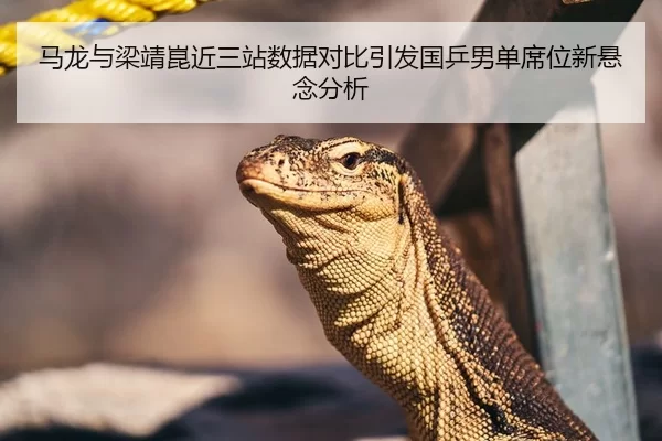 马龙与梁靖崑近三站数据对比引发国乒男单席位新悬念分析