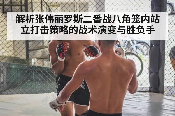 MMA standup striking tactics